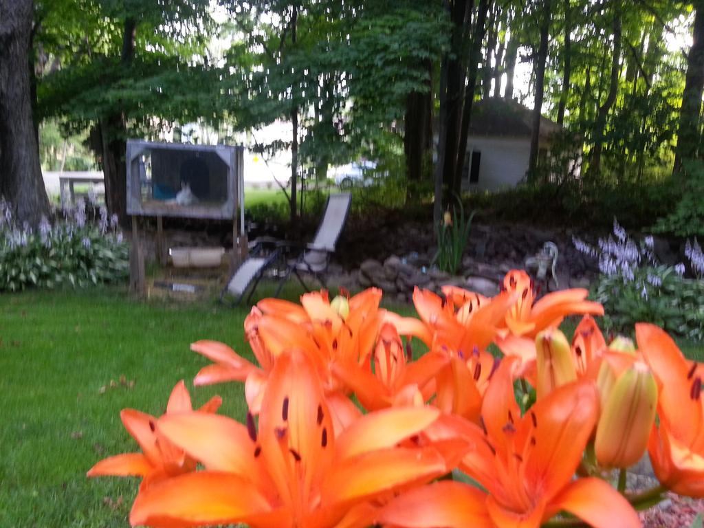 Kountry Living Bed And Breakfast Oneonta Exterior foto